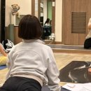 요가라이프 이미지