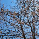 맑은 세탁 이미지