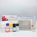 동아메디칼 이미지