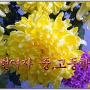 송현여자중학교 이미지