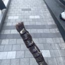 박창용 태권도 이미지