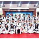 용인대용진태권도장 네이버블로그