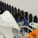 NEW 월드스타 뽀로로 | 월드킹 영종도 주말 오픈런 후기