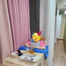 펄라이트존(ZONE) 이미지