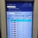 삼흥문화 | 서울남부터미널에서 부여까지, 2026년 최신 버스 이용기
