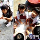 보릿고개 이미지