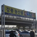 남대천강릉교밑 이미지