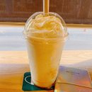 노리댕댕 이미지