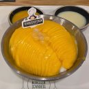 성심당 테라스키친에서 빵 먹기, 망고빙수/옐로우망고/말차크로와상/연어크로와상 솔직후기