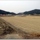 삼웅2리 마을회관 이미지