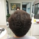 모결헤어팀 부평시장역점 헵시바헤어아트 네이버블로그