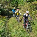 광평농장 이미지