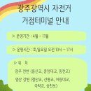 어등대교(거점터미널) 이미지