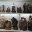 중원대학교 박물관 이미지