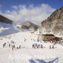 오투리조트 스키 시사오늘