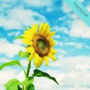 화장품나라 이미지