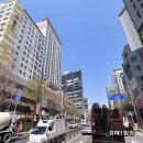 파랑새 세탁소 이미지