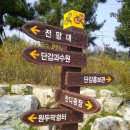 단감테마공원 이미지