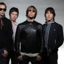 오아시스 이미지