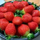 영신유통 이미지