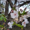 스마트폰활용기초 이미지