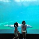하리생활문화관 | 거제 씨월드 돌고래 볼거리 아이랑 거제도 여행 가볼만한곳