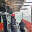 대천 해수욕장 놀거리 짚트랙코리아 짚라인 탑승 후기