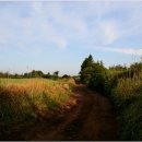 신흥초교 이미지