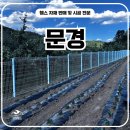 문경축사 | 문경휀스 펜스- "멧돼지 막으려다 휀스 맛집 찾았다 – 문경산소 실화"