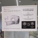 이:은종합동물병원 | [동물의료센터24인치] 구조견 키치 종양 건강검진 후기, 24시 동물병원 방문기