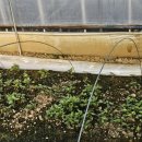 순이하우스 이미지