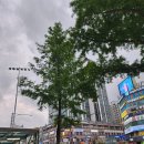 크로바세탁소 | [임장]대전 유성구 상대동 임장기(대전 최고가 아파트)