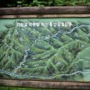 서면사무소(양양) 이미지