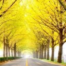 복드림공인중개사사무소 이미지