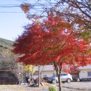산외이발소