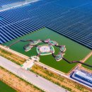 물고기태양광발전소 이미지