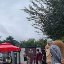 메밀꽃 화장실 이미지