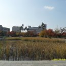 선부광장 이미지