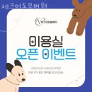 체크업동물병원 이미지