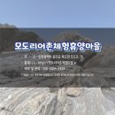 모도리어촌체험휴양마을 네이버블로그