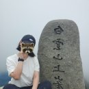 광양 진틀펜션 | [전남 광양] 백운산 최단코스 한재-상봉 코스 산행후기.