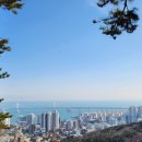 황령산레포츠공원(생태공원) 이미지