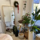 수지플라워 이미지