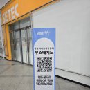 더게코 | 세텍 2026 관상어 파충류 박람회 다녀왔는데 생각보다 크레스티드 게코가 더 많았던 후기