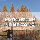 경상남도수목원(수생식물원) | 진주 경상남도수목원 가을 단풍 명소 데이트 코스로 안성맞춤