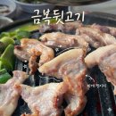 서부뒷고기 | 대구 비산동 뒷고기맛집 애견동반식당 금복뒷고기 방문후기