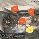 버그헌터119 파주센터