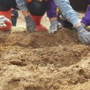 우리들원예사 이미지