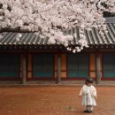 CU(벚꽃점) 이미지