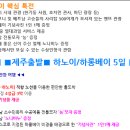 수성국제여행사 이미지